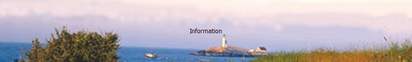 Information